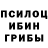 Псилоцибиновые грибы Psilocybe Lisa Margosian