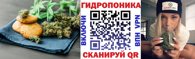 Canna-Cookies марихуана  Купить  Пучеж 