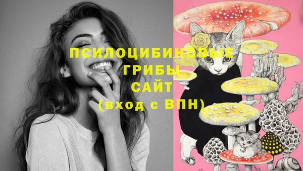 дживик Богданович