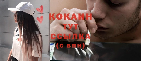 дживик Богданович