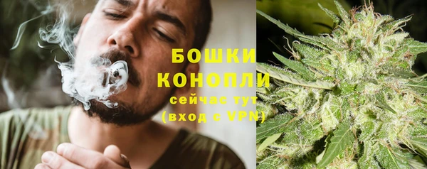 дживик Богданович