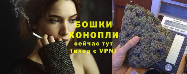 дживик Богданович