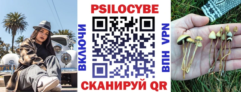 Купить  Пучеж  Галлюциногенные грибы мицелий 